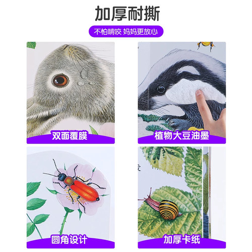 触摸书0-3岁 蒙氏早教绘本亮丽精美小兔比利点读版乐乐趣儿童婴儿幼儿启蒙洞洞翻翻宝宝益智玩具触感刺激认知阅读手指推拉早教1岁2 - 图3