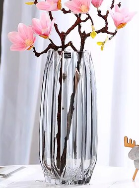 花瓶玻璃透明水养插花轻奢高级感摆件客厅桌面水培富贵竹鲜花大号