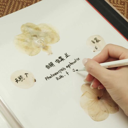 10色金属笔水彩笔套装油性丙烯硬头彩色手绘涂鸦画DIY相册黑卡 - 图3
