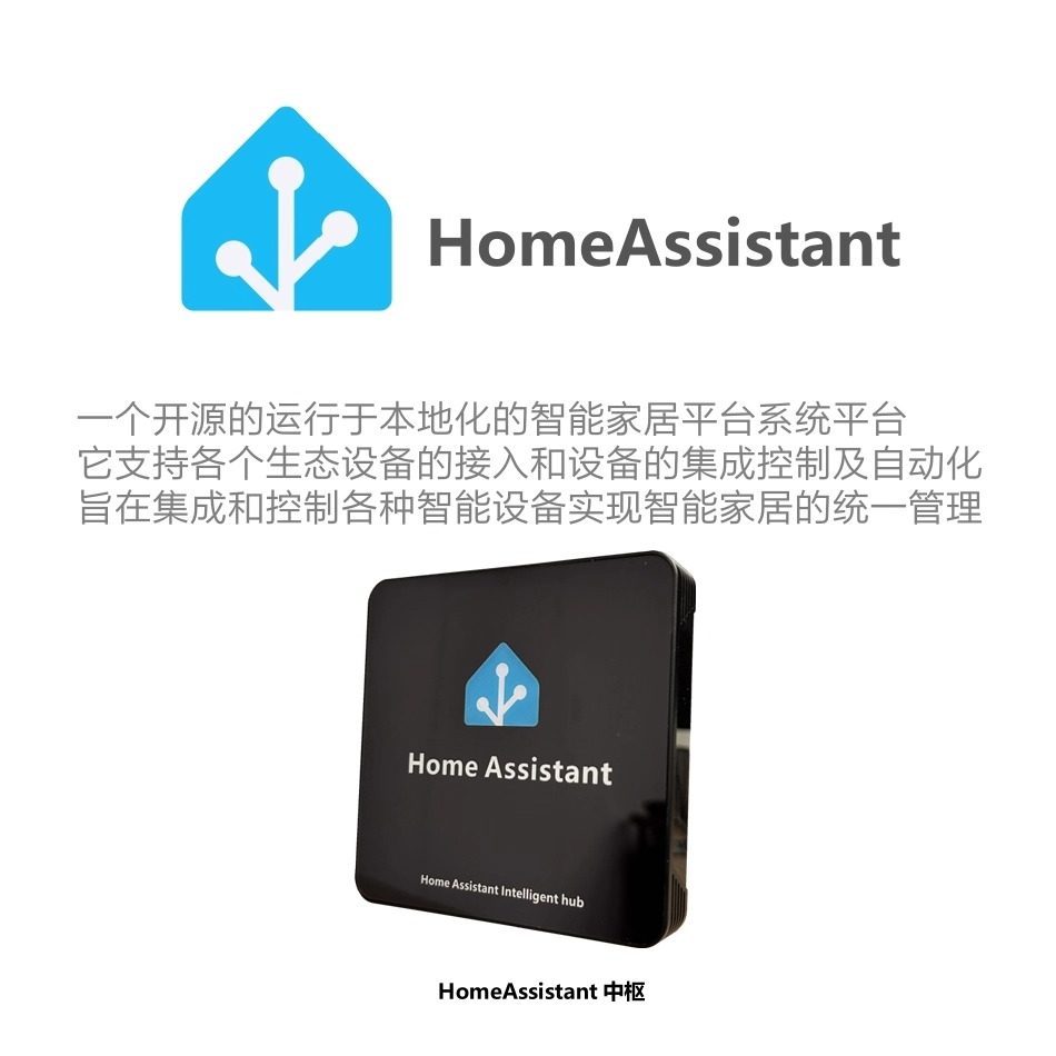 HomeAssistant智能家居HA盒子苹果Homekit网关小米家knx涂鸦 Siri,淘宝优惠券,粉丝福利购,淘宝优惠卷