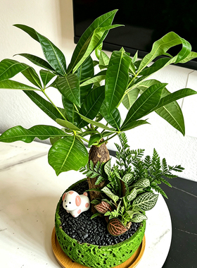 小狗微景观创意花盆可爱治愈系桌面小摆件盆景造景装饰品礼物女生