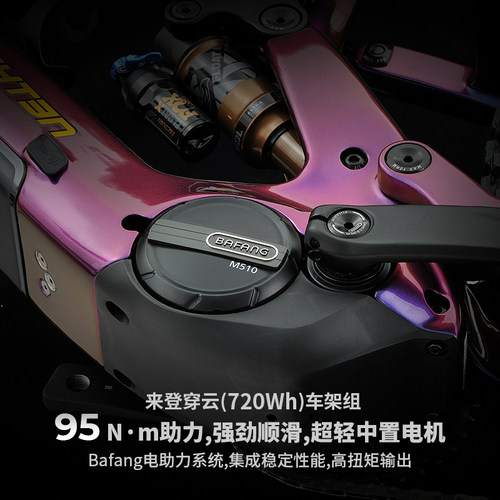 德国来登-穿云电助力Enduro软尾山地自行车碳纤维车架可拆电池 - 图2
