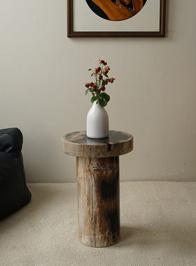 设计师家具现代客厅装饰风格小边桌轻奢边几摆件硅化木茶几小桌面