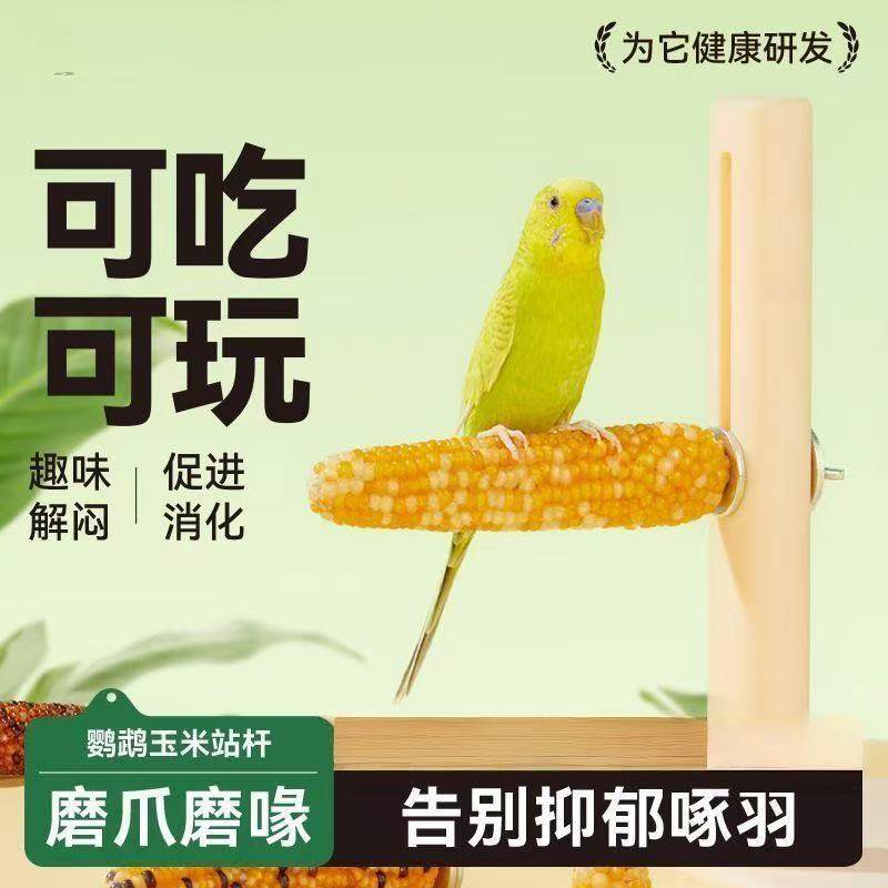 鹦鹉站杆小玉米磨牙站棒虎皮牡丹玄凤啃咬解闷鸟玩具鸟笼用品,淘宝优惠券,粉丝福利购,淘宝优惠卷