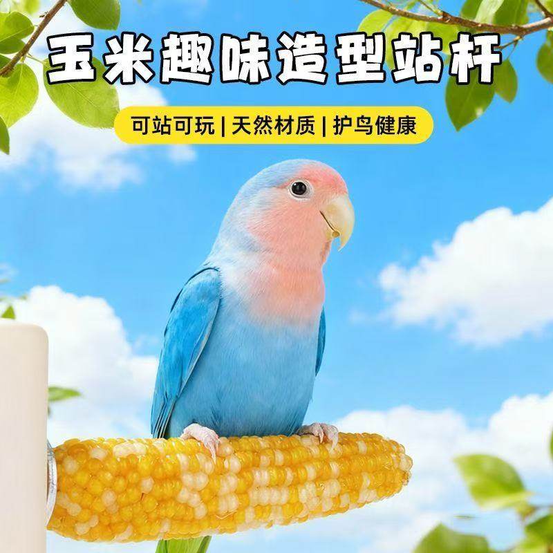 鹦鹉站杆小玉米磨牙站棒虎皮牡丹玄凤啃咬解闷鸟玩具鸟笼用品,淘宝优惠券,粉丝福利购,淘宝优惠卷