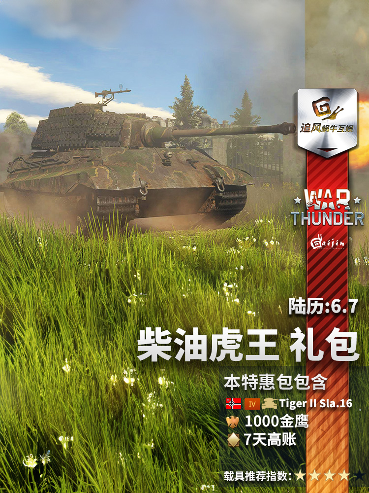 War Thunder 战争雷霆 柴油虎王 STEAM CDK 追风蜗牛 - 图1