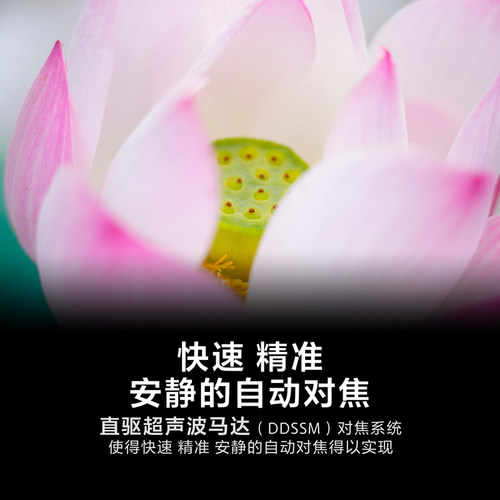 Sony/索尼 FE24-105mm F4全画幅变焦G镜头 SEL24105G - 图3