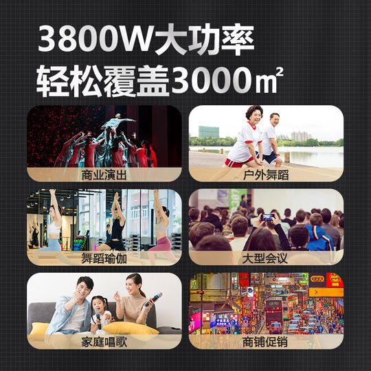 Leistungsstarker professioneller Karaoke-Lautsprecher von Temeisheng