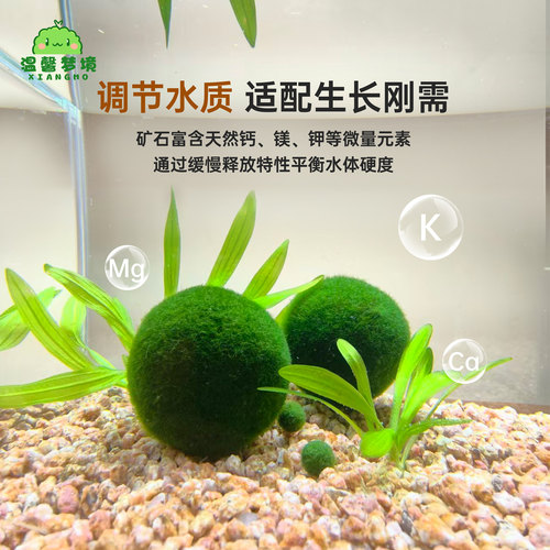 marimo海藻球矿石麦饭石超精洗营养土天然球藻种植土生长微量元素 - 图0