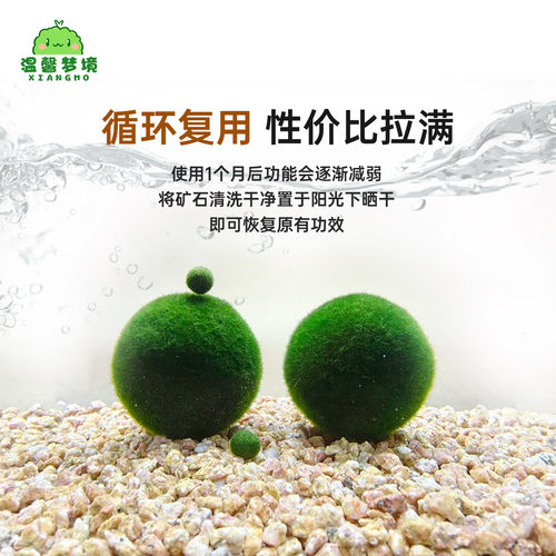 marimo海藻球矿石麦饭石超精洗营养土天然球藻种植土生长微量元素 - 图2