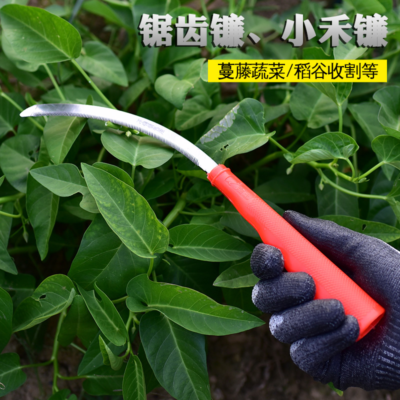 农用小齿镰农用镰刀割草工具除草禾镰长柄塑料小镰刀锯齿镰不锈钢 - 图0