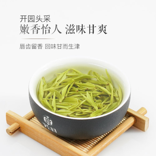 2026精品新茶芳羽安吉白茶头采500g罐装正宗高山绿茶春茶叶伴手礼 - 图1