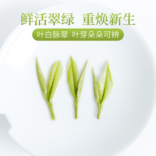 现货2026年新茶安吉白茶芳羽特级罐装250g绿茶高山春茶叶自己喝 - 图2