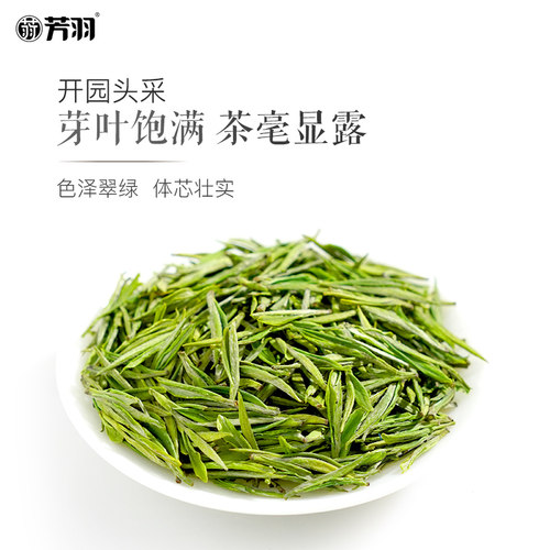 2026精品新茶芳羽安吉白茶头采500g罐装正宗高山绿茶春茶叶伴手礼 - 图0