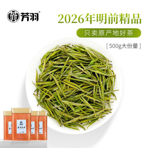 2026新茶现货芳羽安吉白茶正宗明前精品500g罐装珍稀高山绿茶叶 - 图0