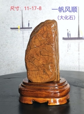 天然石头九龙华安镇宅太湖
