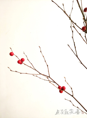 【万点红】家居文艺装饰干花干果禅意小红果枝相思豆枝条花艺套装