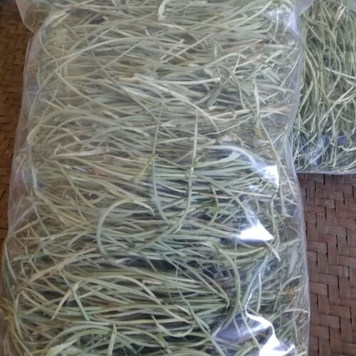 2026年新货野生竹叶心新鲜竹芯晒干竹子嫩芽卷心竹针100g凉茶中药 - 图2