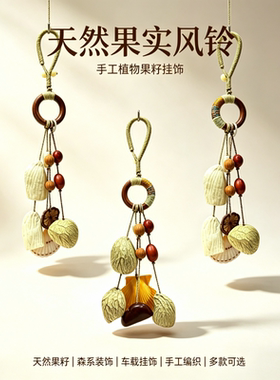 天然手工植物果实风铃果壳摇铃自然乐器音疗民宿墙面车载挂饰批发