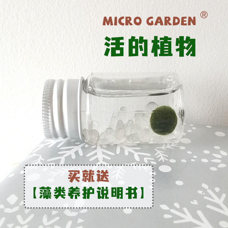 海藻球随身瓶小植物桌面宠物口袋迷你生态瓶趣味礼物diy 新手推荐,淘宝优惠券,粉丝福利购,淘宝优惠卷