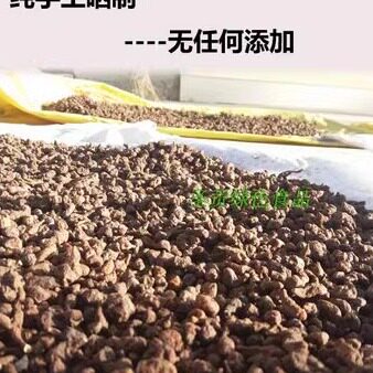 藏区高原人参果蕨麻非种植农家干货煮粥煲糖水炖肉烧肉500克包邮 - 图0