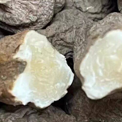 藏区高原人参果蕨麻非种植农家干货煮粥煲糖水炖肉烧肉500克包邮 - 图2