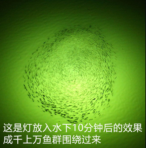 筏钓翘嘴灯桥钓大头夜钓灯海钓鱿鱼灯12V水下诱鱼灯防水灯聚鱼灯 - 图1