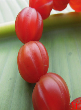 玛瑙玉髓男士时尚风磨砂单圈手串