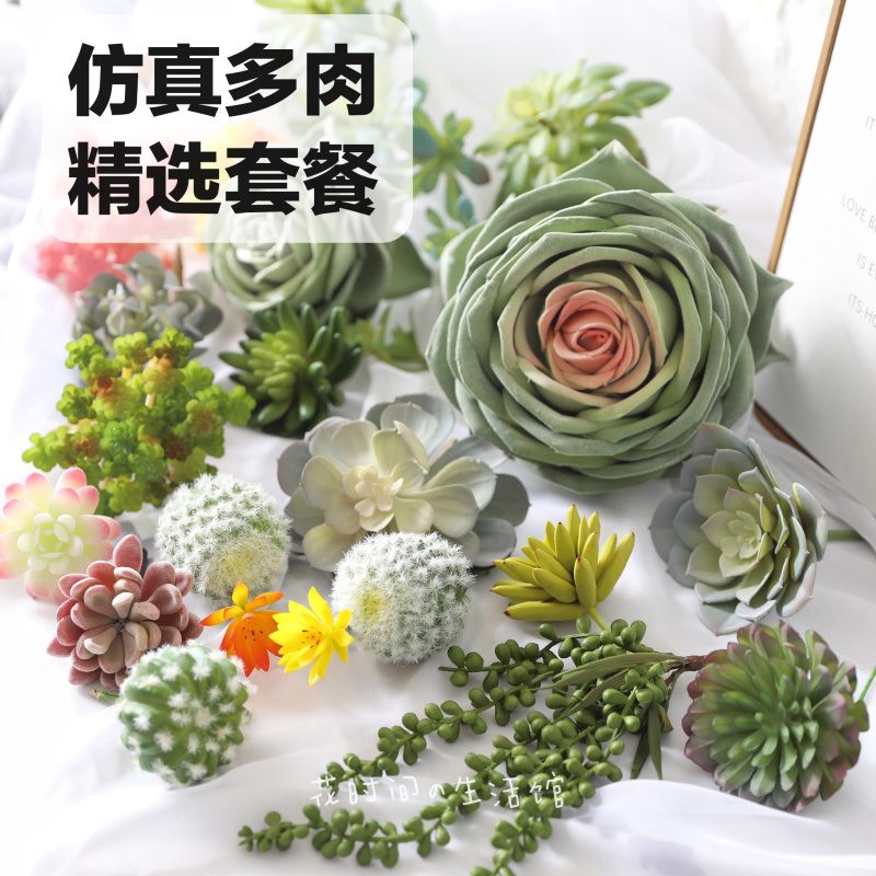 仿真多肉植物仙人掌绿色人造假花墙室内造景家居装饰品摆设件组合 - 图0