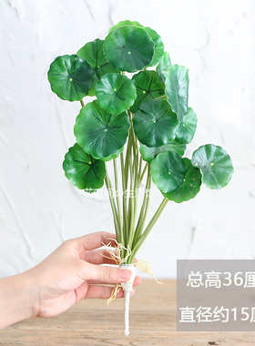 仿真植物铜钱草塑料花