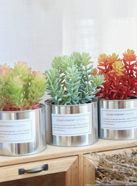 仿真多肉植物盆栽套装ins装饰品