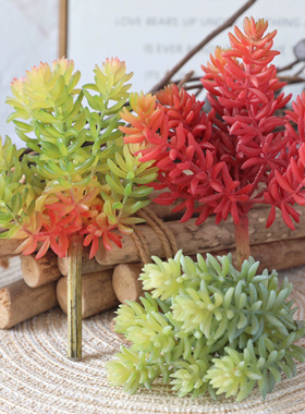 仿真多肉植物高品质手感软胶塑料假花绿植室内家居造景设计摆设品