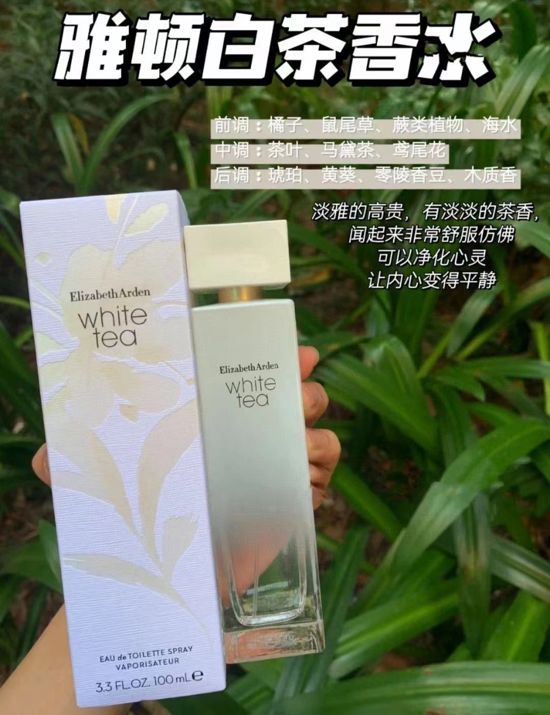 ElizabethArden/伊丽莎白雅顿白茶女士淡香水100ML自然清新淡雅 - 图2