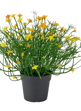 IKEA宜家 FEJKA菲卡人造盆栽植物室内户外悬挂绿植现代简约北欧风
