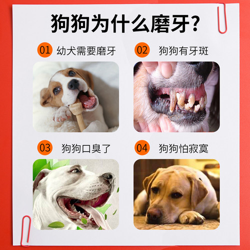 元气宠物UU元气蛋狗狗洁齿骨磨牙棒调理肠胃除口臭美毛磨牙零食 - 图2