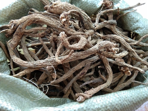 贵州续断中药材干货500克 生晒原药和尚头中草药川段接骨草川续断 - 图1