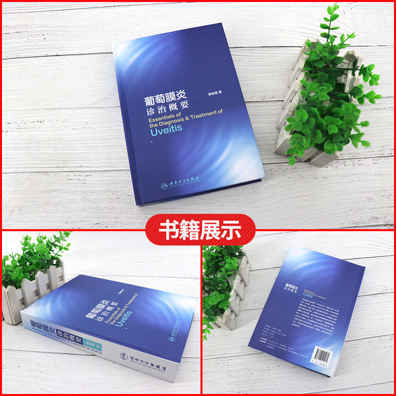 现货正版葡萄膜炎诊治概要杨培增著 盛世天佑图书眼科学