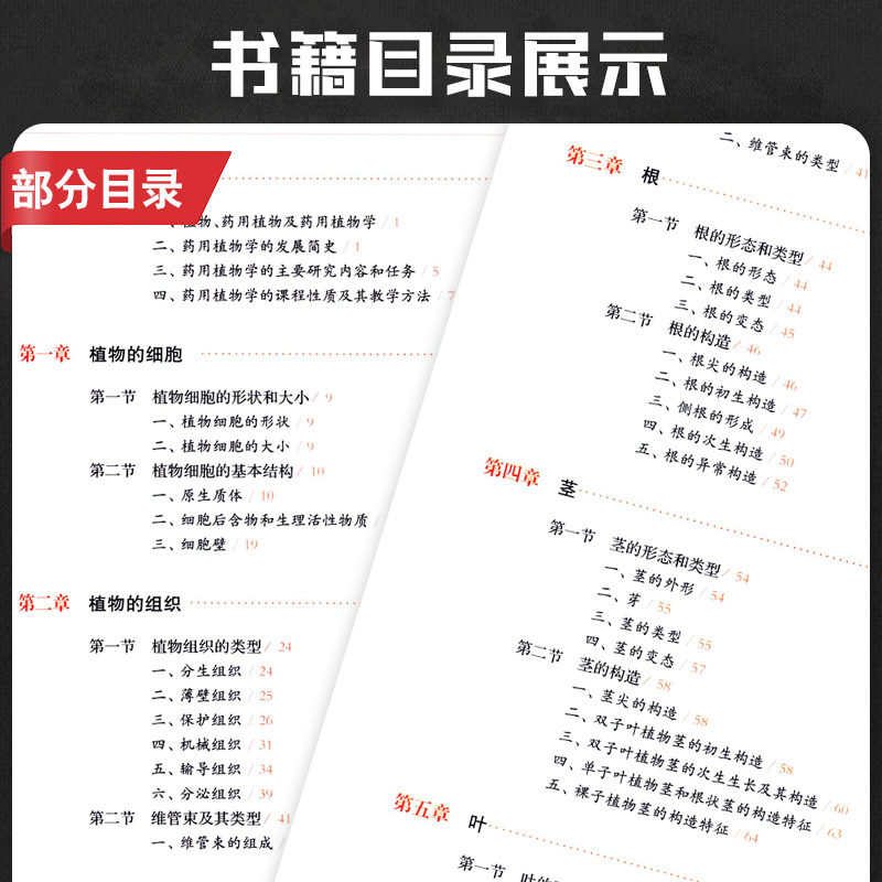 药用植物学供中药药学农学林学类专业用第2版普通高等教育中医药类十三五规划教材赵志礼严玉平等9787547851142上海科学技术出版社 - 图1