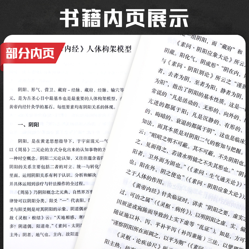 黄帝内经针灸学田大哲主编九针基础内针古针法皇帝内经中医诊断学资料全集正版自学入门讲义针灸指南践行录书籍学苑出版社-图2