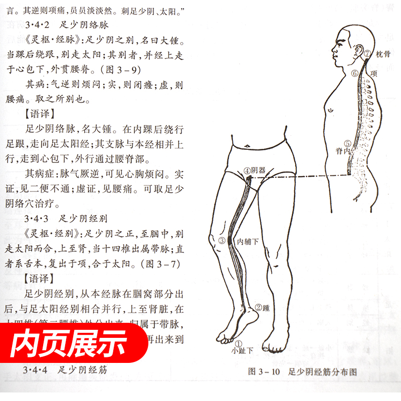 经络学供针灸专业用可搭配中医基础理论结合近代研究资料择要分别叙述高校本科考研经典老版教材李鼎主编上海科学技术出版社-图1