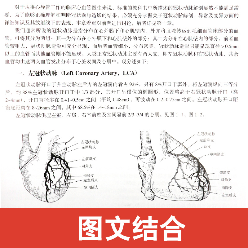 【正版保证】冠状动脉造影与临床 第3版第三版 冠脉造影 介入心脏病学 心血管内科外科医师冠状动脉造影参考书籍 - 图1