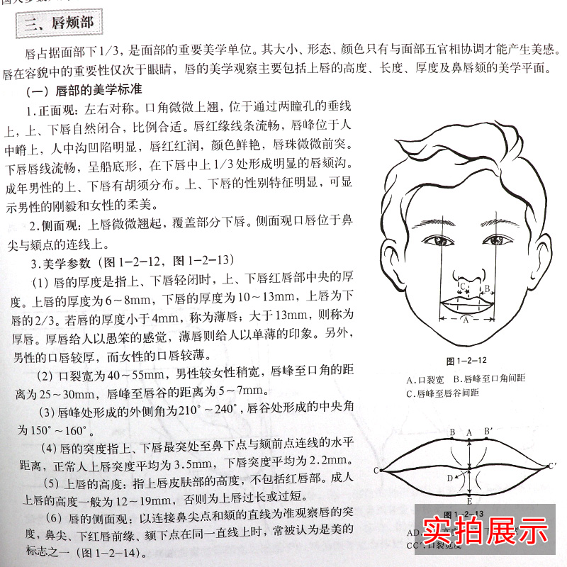 包邮正版 美容外科解剖图谱 精装 高景恒 曹谊林 可搭面部分区解剖图谱手术原理与整形实践 美容整形美容医学书辽宁科学技术出版社 - 图2