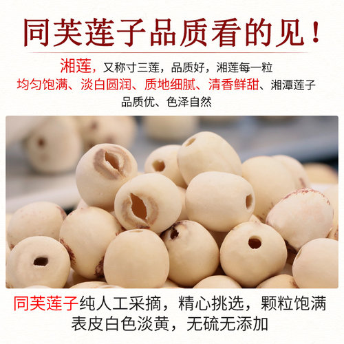 同芙莲子500g磨皮通心白莲干货去芯莲特产无芯莲百合银耳莲子羹 - 图0
