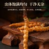 2024新鲜冬虫夏草官方旗舰店0.9克/根头期正品鲜虫草20根共18克装