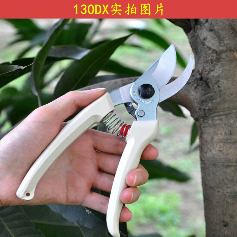 日本ARS爱丽丝130DX修枝剪120DX花木修剪园艺剪刀果树果枝剪包邮-图0