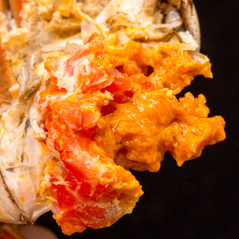 [活蟹]大闸蟹全母蟹3.5两6只礼盒特大母螃蟹 生鲜河蟹湖蟹小蟹农 - 图1