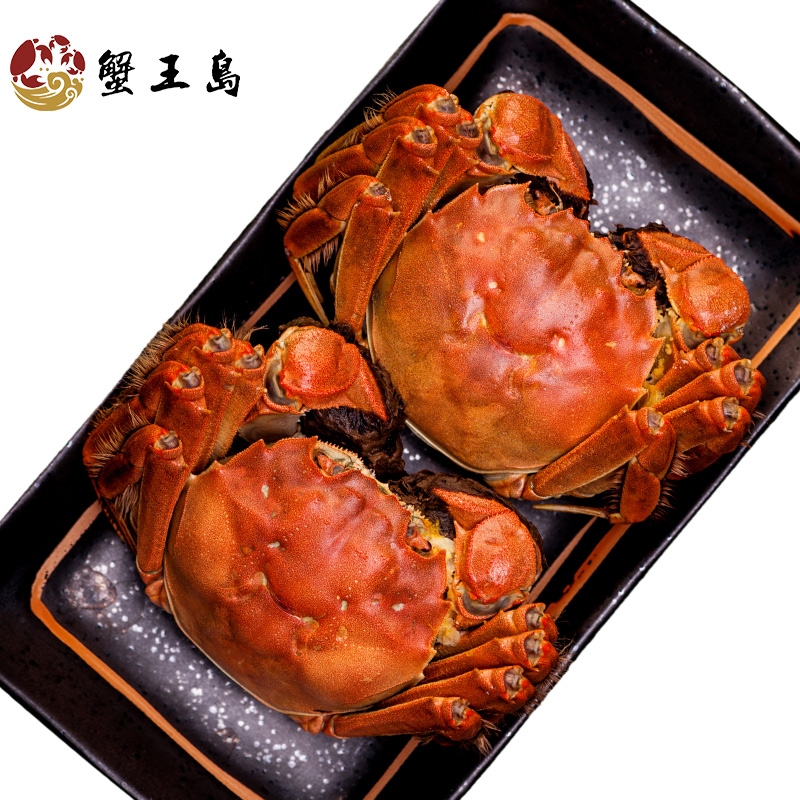 [活蟹]大闸蟹全母蟹3.5两6只礼盒特大母螃蟹 生鲜河蟹湖蟹小蟹农 - 图0