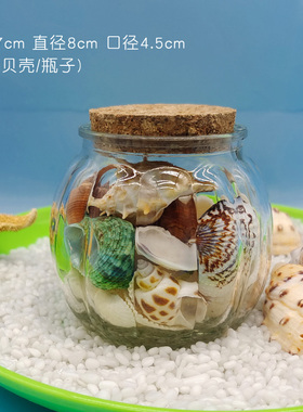 海螺贝许愿瓶壳海洋瓶旅游纪念品