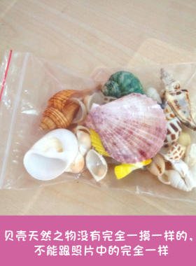 特色南瓜许愿瓶生日礼品贝壳海螺