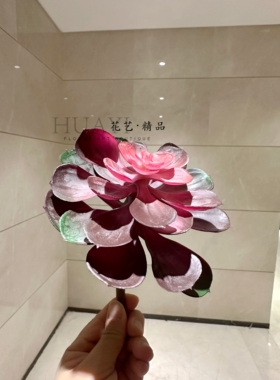仿真多肉植物可搭配枯木枯山水造景爬宠缸景观壁挂盆栽宝石莲花